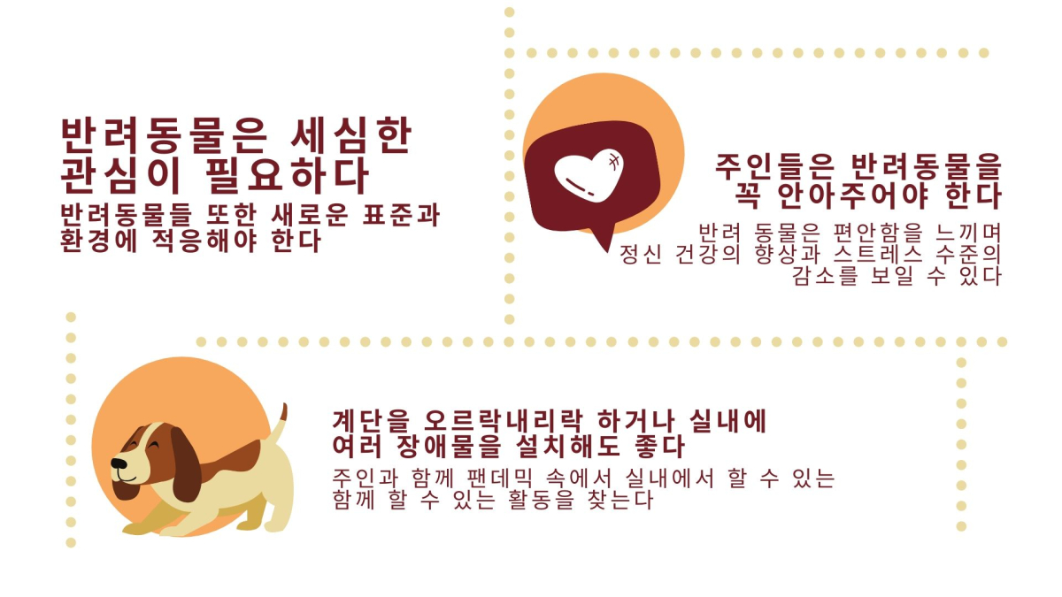 ‘집콕’ 기간, 반려동물도 체중 관리해야…식이조절 필수