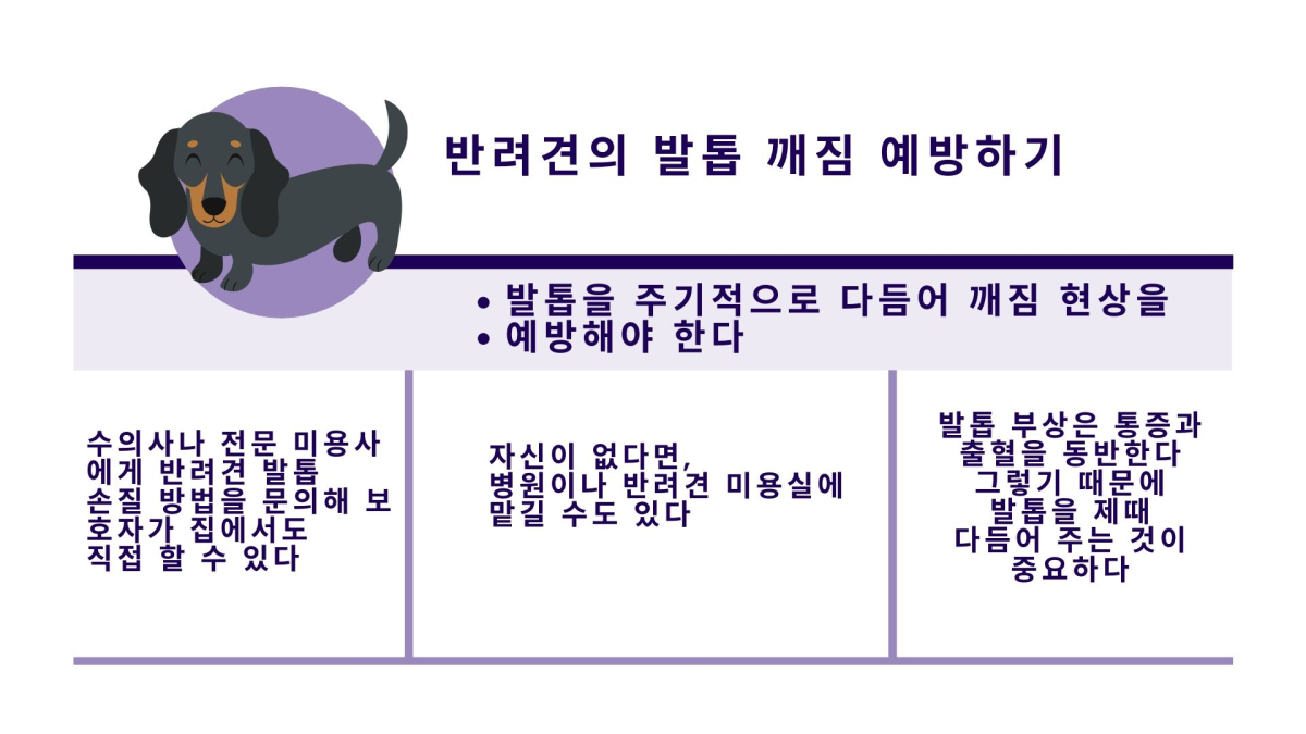 반려견 발톱 부상, 통증과 출혈 동반…적절히 치료해야