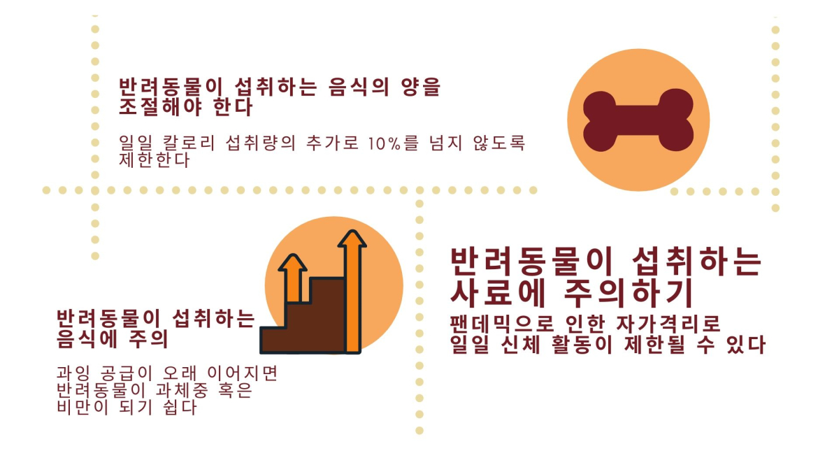‘집콕’ 기간, 반려동물도 체중 관리해야…식이조절 필수
