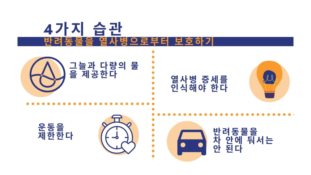 무더위에 반려동물도 위험…열사병 예방하는 4가지 습관