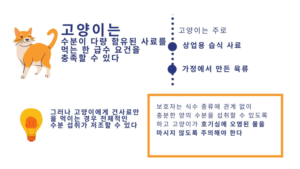 [연구] 반려동물 ‘수분 섭취’ 관련 인식 부족