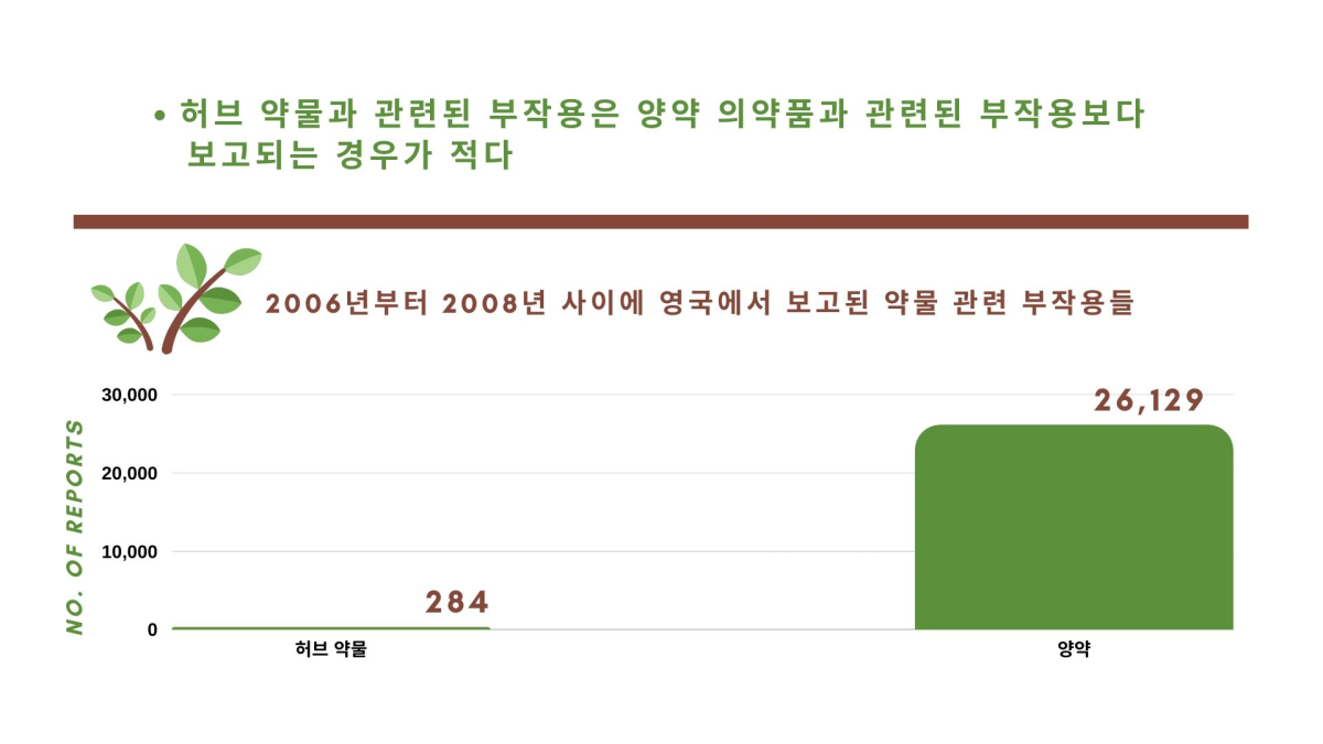 약물로 쓰이는 허브 ‘진짜’ 안전할까?