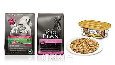 온도•습도 높은 여름철, 반려견 피부와 장 건강을 위한 관리법