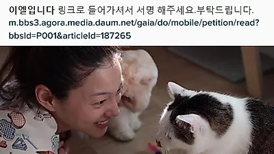 이엘, "반려견 도살한 남성..강력 처벌 받아야" 서명운동 동참