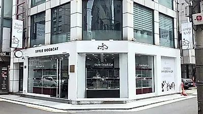‘스타일독앤캣’, 강아지 고양이분양 상시 할인 혜택  진행중