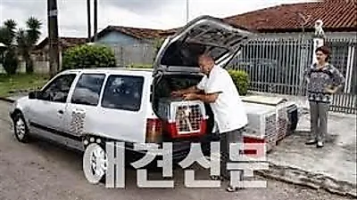 14일 이후 택배나 퀵을 이용하여 반려동물 판매시 동물보호법에 저촉