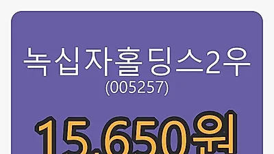5일 녹십자홀딩스2우마감가 15,650원 전일대비 -3.69프로등락..