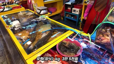 소래포구 수산시장 방문기, 꽃게 선도와 상품권 사용 시 주의할 점