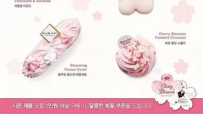 프랑스 정통 베이커리 브리오슈도레, 달콤한 벚꽃 시즌 한정 메뉴 출시