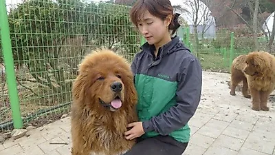 동물과 직접 교감하는 '아침고요 가족동물원' 개장
