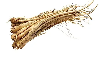 씁쓸한 맛과 향이 일품인 도라지, 도라지 속 사포닌 성분이 각종 효능 보여... 도라지 효능과 부작용