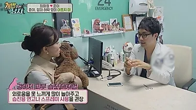 강아지 습진 대처법
