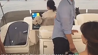 엄지원, 반려견과 요트타기 '비키의 서울라이프'