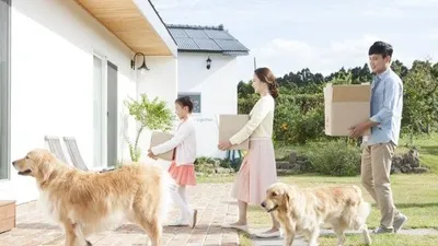 [분석] 강아지·고양이 분양업체 3천 곳 넘어