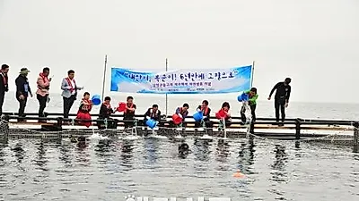 자연으로 돌아간 태산이와 복순이, "이제 바다에서 행복하렴"