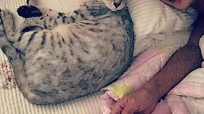 효린 반려묘와 누워 평화로운 일상