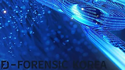 몸캠피씽 해결 인원 증축해 24시간 피싱 철벽대응 '디포렌식코리아'