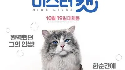 영화 '미스터 캣' 수입사, "불법 영상 파일 배포자 법적 책임 물을 것"