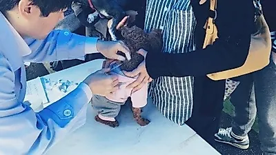 고양시 행신2동, 반려견 '광견병 예방접종' 실시