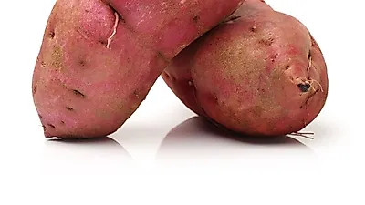 고구마찌는법·고구마삶는방법·고구마 굽는법의 정석 레시피