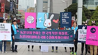 카라, 중국대사관에 화장품동물실험 금지요청 서한 전달