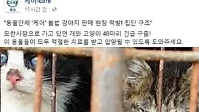 동물단체 케어, 불법 강아지 판매 현장 적발…48마리 구조