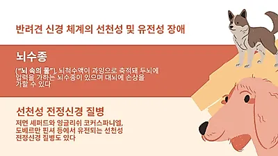 반려견 신경계에 발병할 수 있는 대표적 질병은?