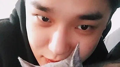 가수 딘, 곤히 잠든 반려묘와 함께한 일상 공개