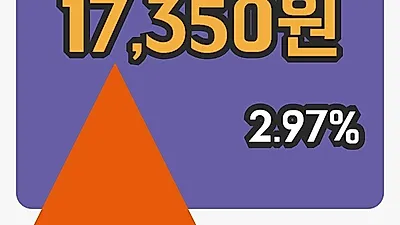 주식마감KG케미칼 11일 17,350원 마감그래프복습하기