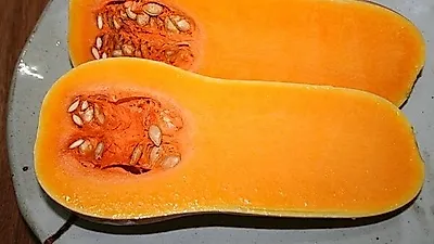땅콩을 닮은 '이것' 효능, "최고의 항암 식재료?" 방송에 나와 화제...뭐길래
