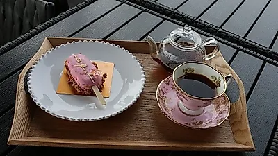 서귀포시 제주 동백군락지 아름다운 겨울바다 보이는 제주카페