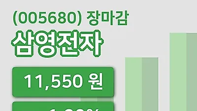 국내주식마감삼영전자 24일 11,550원 마감