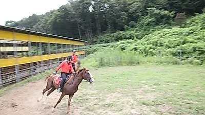 완주군, 말 산업 진흥계획 본격 추진