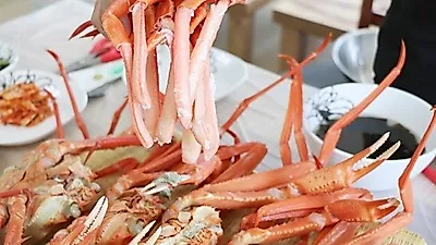 식도락으로 즐거운 강릉 주문진 여행...가성비 홍게 맛집 '주문진홍게무한리필'