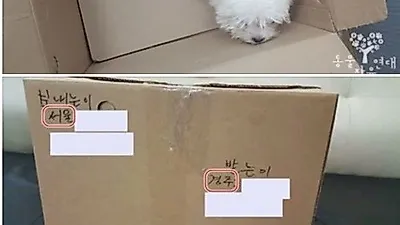 동물자유연대 "고속버스 화물칸에 살아있는 동물 운송은 불법"