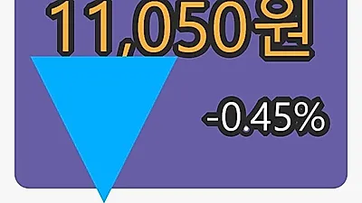 일동홀딩스 6일 마감가 11,050원 전일비 -0.45퍼센트등락..