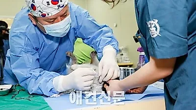 [포토뉴스] 김재영 고양이수의사회 회장 "공존을 위한 작은 움직임"
