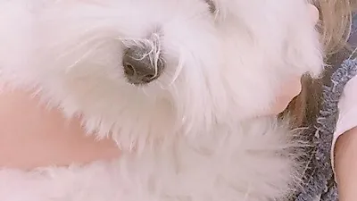 권소현 반려견 총아, "눈 보이게 미용해줄게"