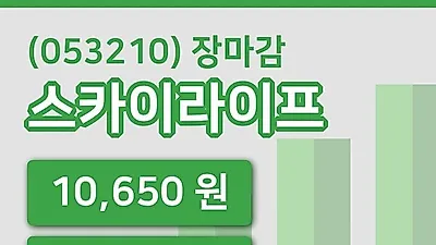 국내주식마감스카이라이프 18일 10,650원 장종료...