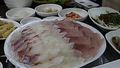 제주도 맛집 공항 근처 월척수산, 야시장과 함께 즐기는 제주도의 싱싱한 회