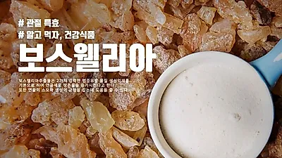[보스웰리아효능]관절보스웰리아의 다양한 효능
