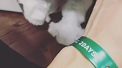 박신혜, 초록밴드 뒤로 보이는 '하얀 흰둥이 둘'