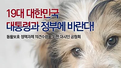'차기 대통령과 새 정부에 바란다', '동물보호 정책제안 공청회' 15일 개최