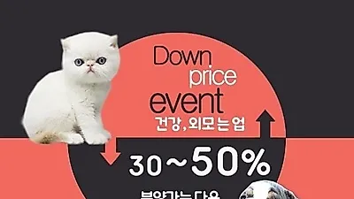강아지, 고양이 분양업체 '아담스펫', 연계병원과 협업을 통해 다양한 서비스 전개