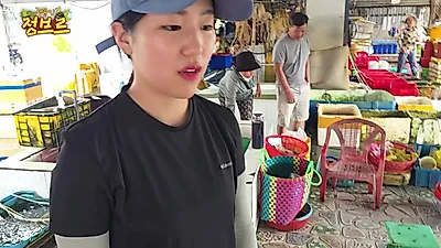 맹그로브 투구게와 독 있는 종의 차이, 모양으로 구분하는 법