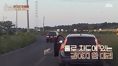 마당에 풀어 키우는 개, 생이별하지 않으려면