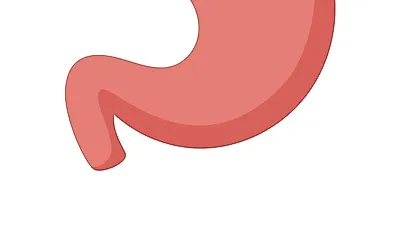 암 최대 발병률 '위암'…자극적인 식단과 헬리코박터균이 원인? 위암 초기증상 및 위암에 좋은 음식까지