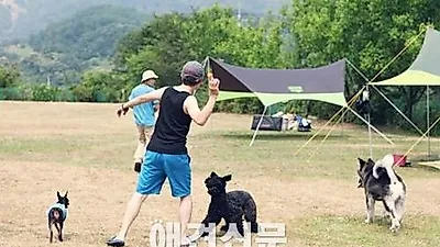 "2015올캠프 in 여주 당남리섬" 애견과 함께 캠핑을