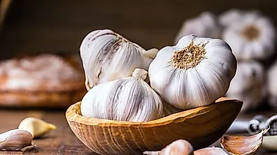 마늘, 반려동물에게 독일까? 유익할까?
