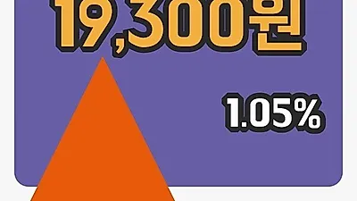 주식마감노루홀딩스우 11일 19,300원 장종료